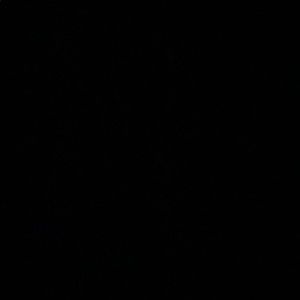 Meet your Posher, Jared